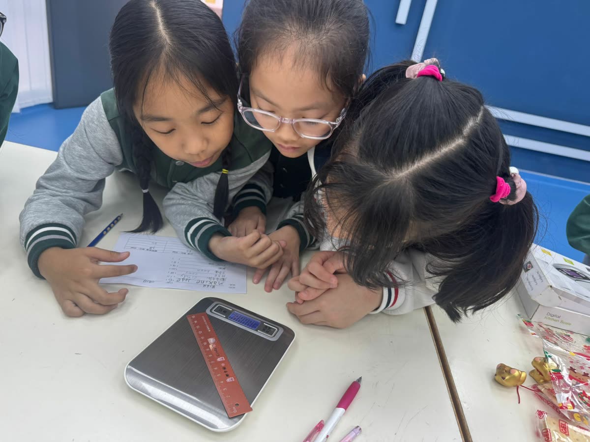 兩名學生一起閱讀圖書
